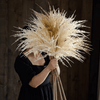 Artificial Elegant Reed Grass Stem 39" Tall - RusticReach