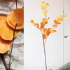 Round Leaf Eucalyptus Stem 44" Tall - RusticReach