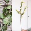 Round Leaf Eucalyptus Stem 44" Tall - RusticReach