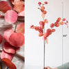 Round Leaf Eucalyptus Stem 44" Tall - RusticReach