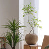 Round Magnesium Clay Planter - RusticReach