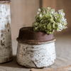 Restoration Ceramic Planter Vase - RusticReach