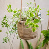 Faux Rattan Cement Hanging Planter - RusticReach