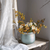 Ruhai Low Glass Vase - RusticReach