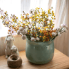 Ruhai Low Glass Vase - RusticReach