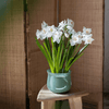 Ruhai Low Glass Vase - RusticReach
