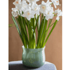 Ruhai Low Glass Vase - RusticReach