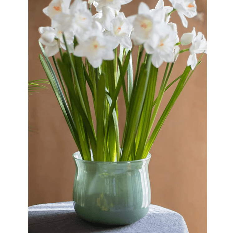 Ruhai Low Glass Vase - RusticReach
