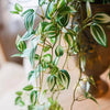 Artificial Small Leaf Vine 40" Long - RusticReach