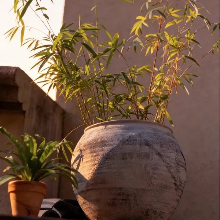 Sierra Round Pot Planter - RusticReach