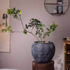Sierra Round Pot Planter - RusticReach