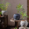 Sierra Round Pot Planter - RusticReach