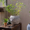 Sierra Round Pot Planter - RusticReach