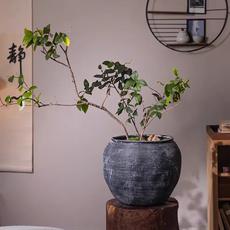 Sierra Round Pot Planter - RusticReach