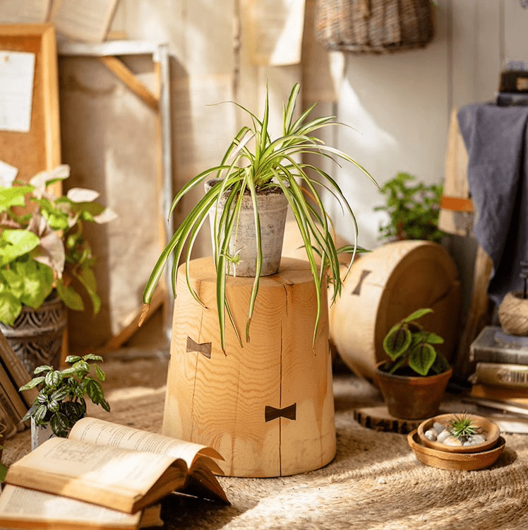 Solid Wood Natural End Table - RusticReach
