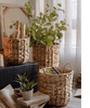 Natural Straw Round Basket with Handles - RusticReach