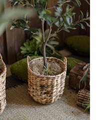Natural Straw Round Basket with Handles