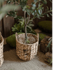 Natural Straw Round Basket with Handles - RusticReach
