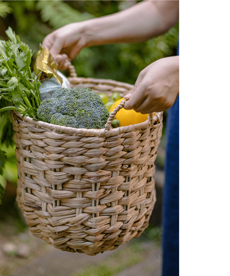 Natural Straw Round Basket with Handles - RusticReach