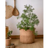 Straw Looking Concrete Planter - RusticReach