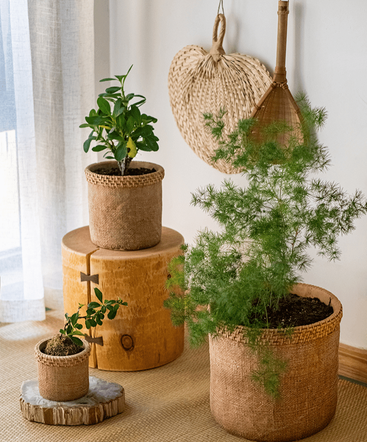 Straw Looking Concrete Planter - RusticReach