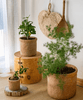 Straw Looking Concrete Planter - RusticReach