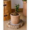 Straw Looking Concrete Planter - RusticReach