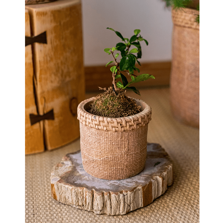 Straw Looking Concrete Planter - RusticReach