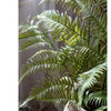 Artificial Tall Fern Leaf Stem - RusticReach