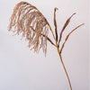 Tall Reed Branch Stem 29" Tall - RusticReach