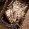 Tall Reed Branch Stem 29" Tall - RusticReach