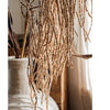 Tall Reed Branch Stem 29" Tall - RusticReach