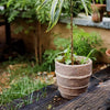 Tasha Red Terracotta Planter - RusticReach