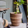 Tasha Red Terracotta Planter - RusticReach