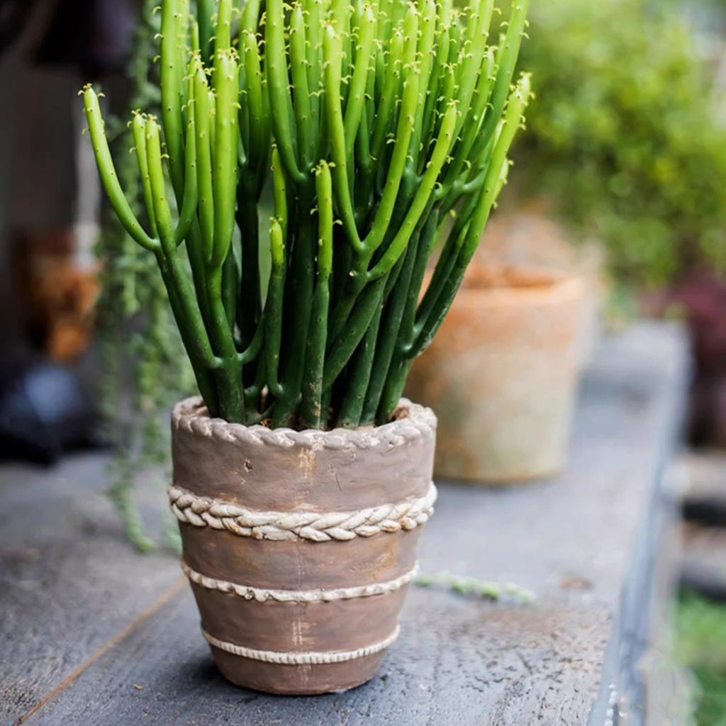Tasha Red Terracotta Planter - RusticReach