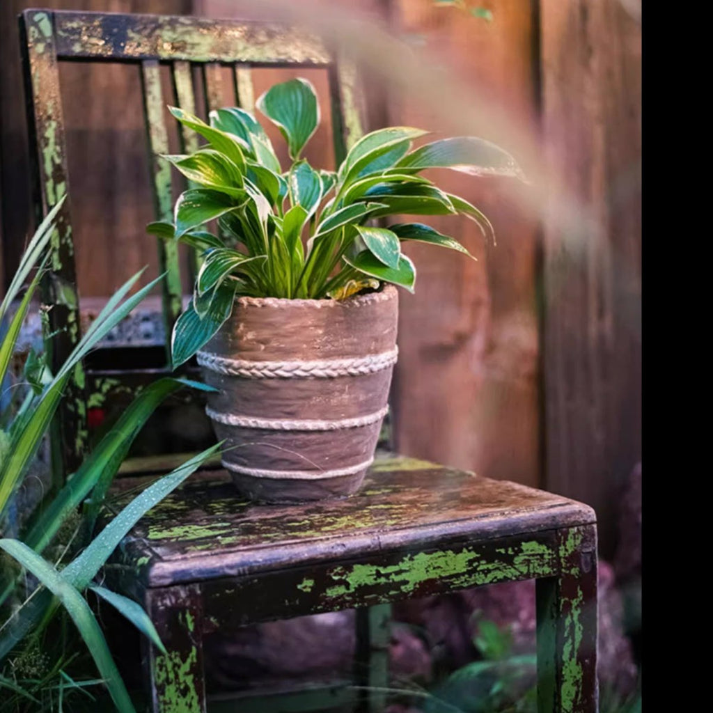 Tasha Red Terracotta Planter - RusticReach