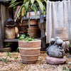 Tasha Red Terracotta Planter - RusticReach