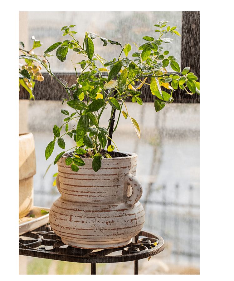 Terracotta Planter Vase with Handles - RusticReach