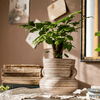 Terracotta Planter Vase with Handles - RusticReach