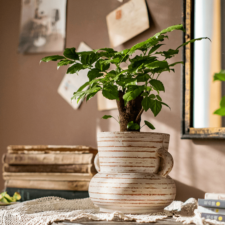 Terracotta Planter Vase with Handles - RusticReach