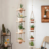 Wooden Rope Hanging Plant Shelf - RusticReach