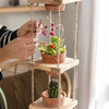 Wooden Rope Hanging Plant Shelf - RusticReach