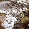 Whitewashed Twig Decorative Branch 22" Tall - RusticReach