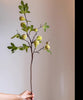 Wild Garden Faux Fig Stem 35.4" Tall - RusticReach