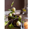 Wild Garden Faux Fig Stem 35.4" Tall - RusticReach