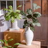 Wild Garden Greenery Stem 36" Tall - RusticReach