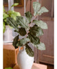 Wild Garden Greenery Stem 36" Tall - RusticReach