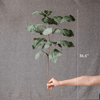 Wild Garden Greenery Stem 36" Tall - RusticReach