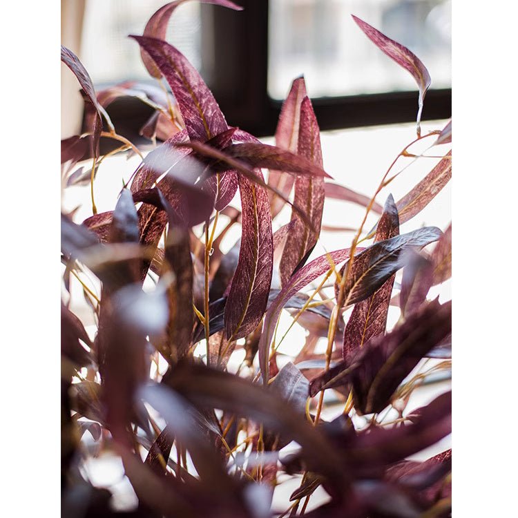 Whispers of Autumn Eucalyptus Stem 33" Tall - RusticReach