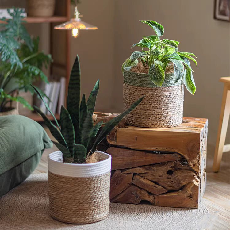 Woven Basket with Colored Rim - RusticReach